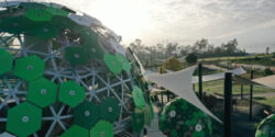 The huge geodesic dome on the central raintree